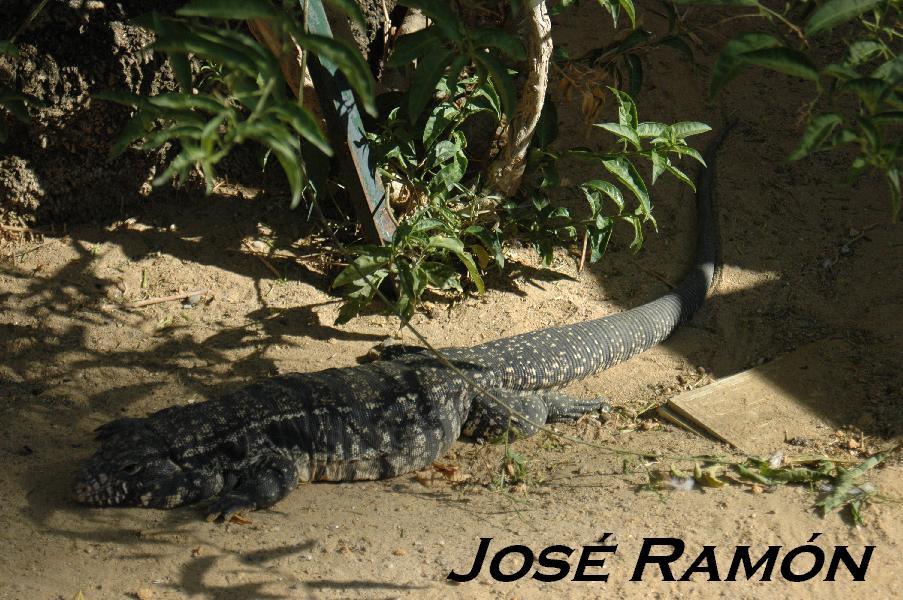 Foto de Jerez  de la Frontera (Cádiz), España