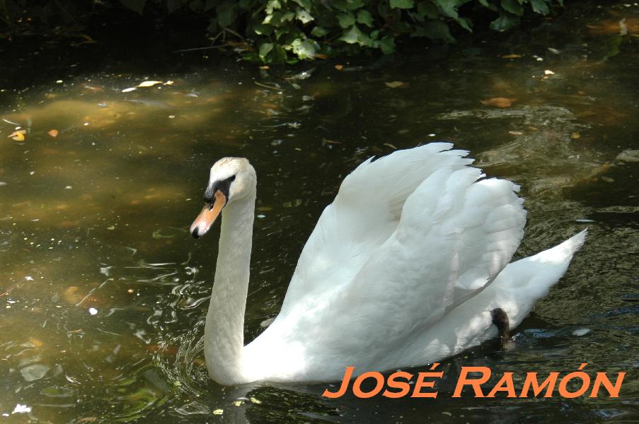 Foto de Jerez  de la Frontera (Cádiz), España