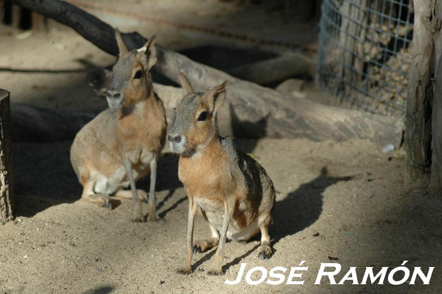 Foto de Jerez  de la Frontera (Cádiz), España