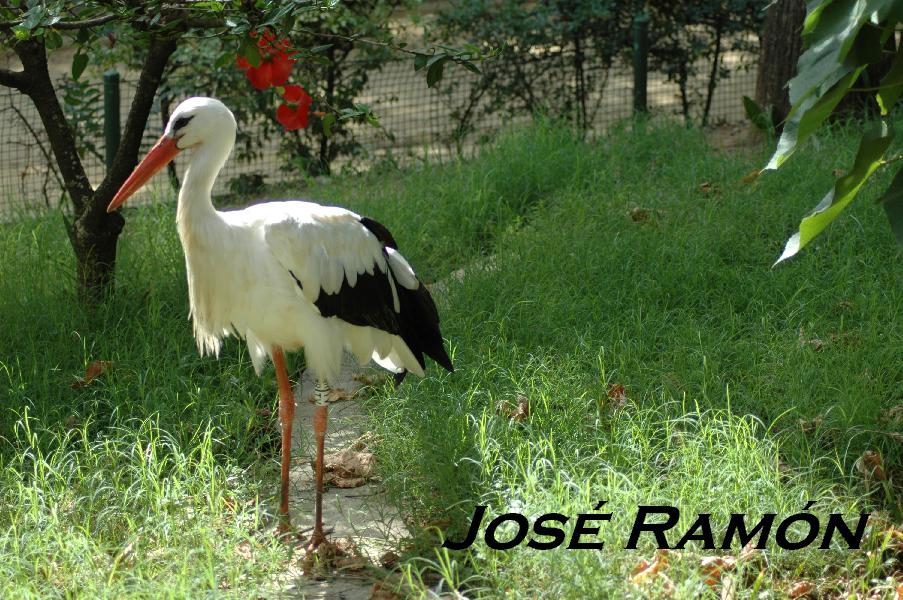 Foto de Jerez  de la Frontera (Cádiz), España