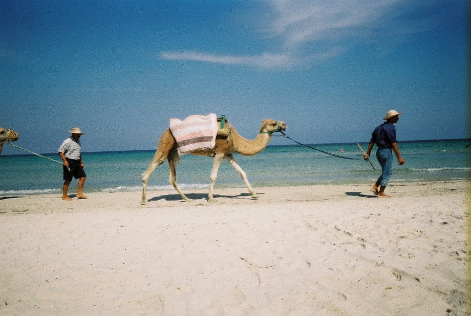 Foto de Monastir-Skanes, Túnez