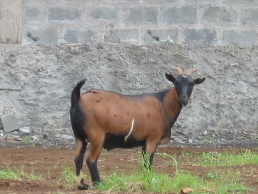 Foto de Malabo, Guinea Ecuatorial