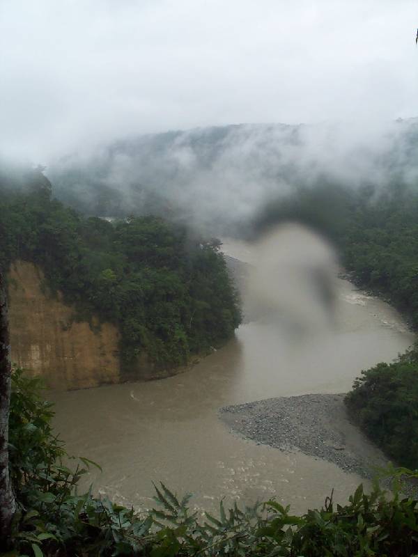 Foto de Amazonia, Ecuador