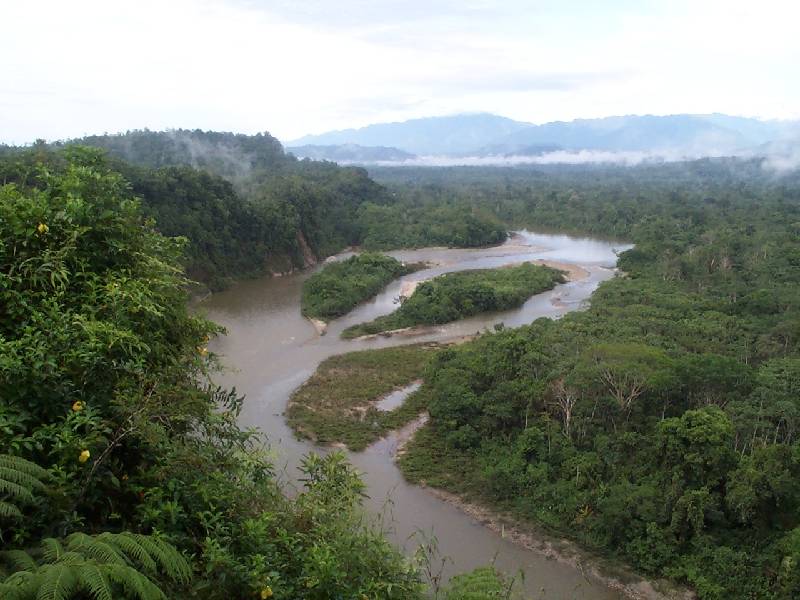 Foto de Amazonia, Ecuador