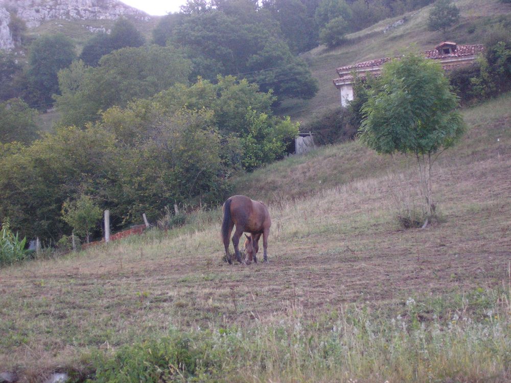 Foto de Miera (Cantabria), España