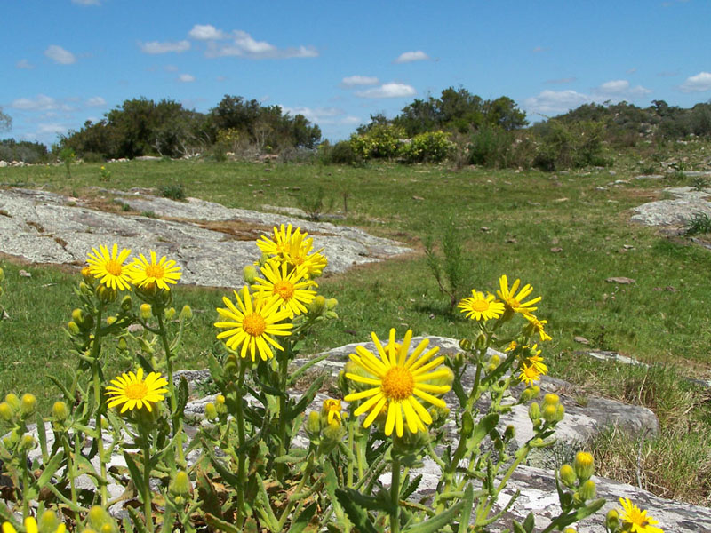 Foto de Minas - Lavalleja, Uruguay