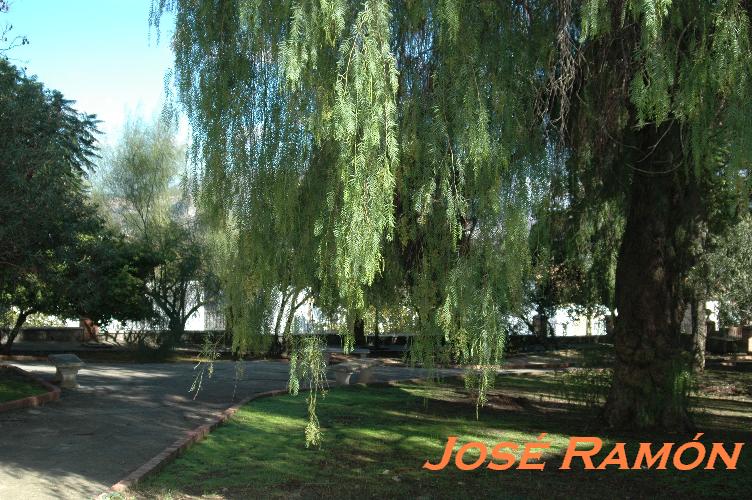 Foto de Olvera (Cádiz), España