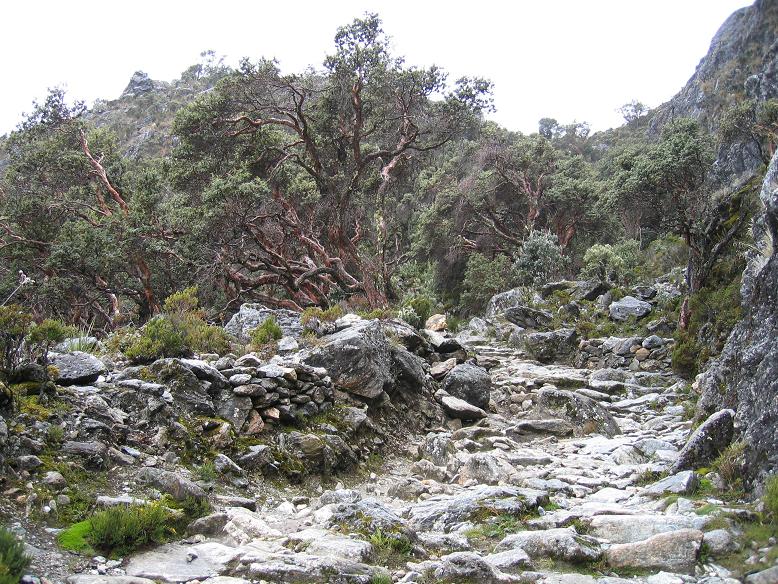 Foto de Mérida, Venezuela