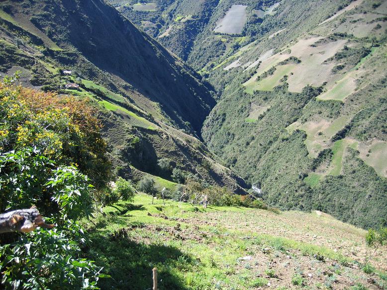 Foto de Mérida, Venezuela
