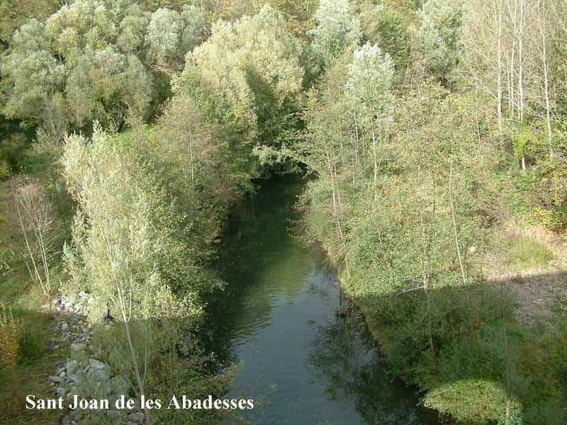 Foto de Sant Joan de les Abadesses (Girona), España