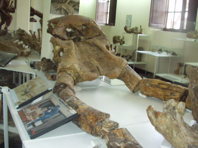 Foto de Tarija, Bolivia