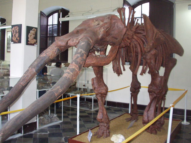 Foto de Tarija - Bolivia, Bolivia