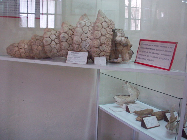 Foto de Tarija, Bolivia