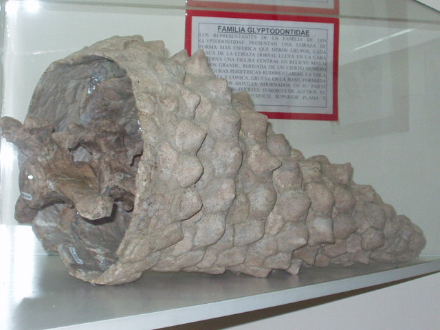 Foto de Tarija - Bolivia, Bolivia