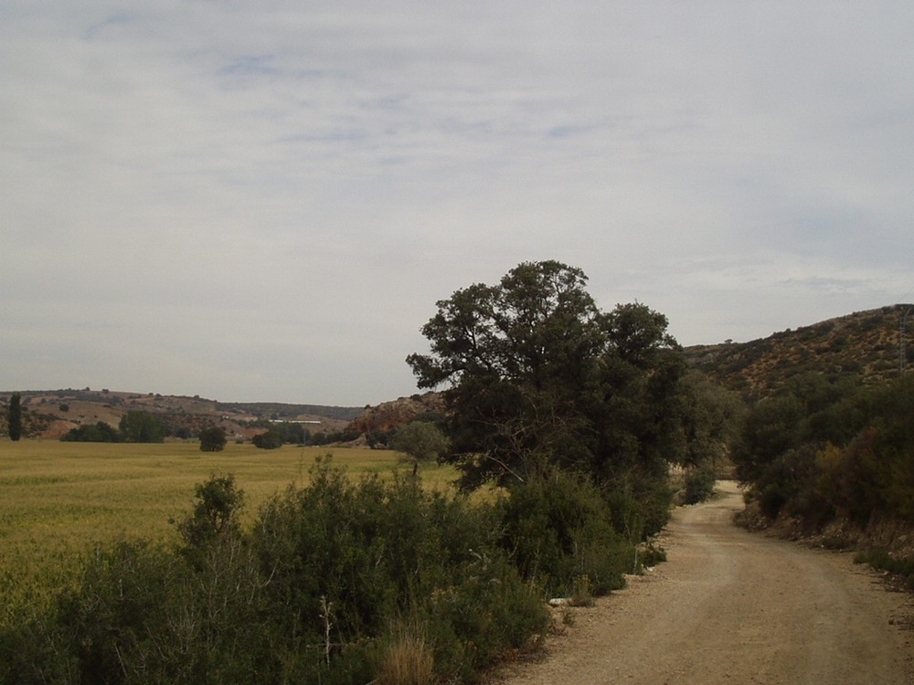 Foto de Balazote (Albacete), España