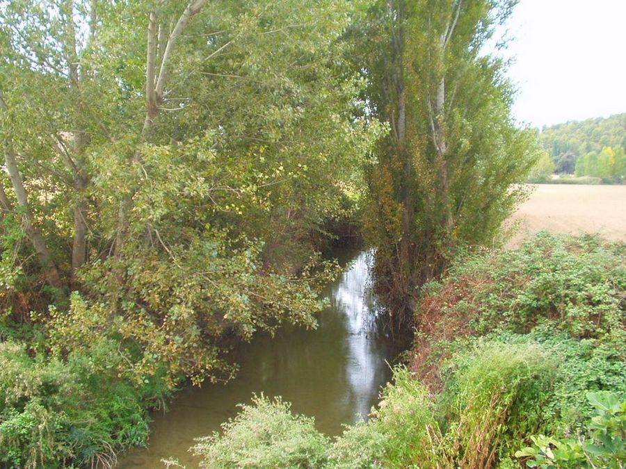 Foto de El Jardin (Albacete), España