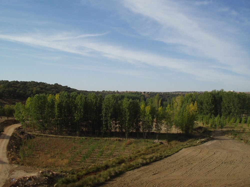 Foto de El Cubillo (Albacete), España