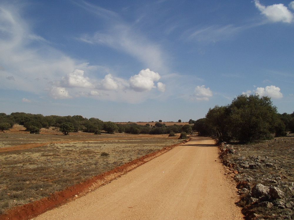 Foto de El Ballestero (Albacete), España