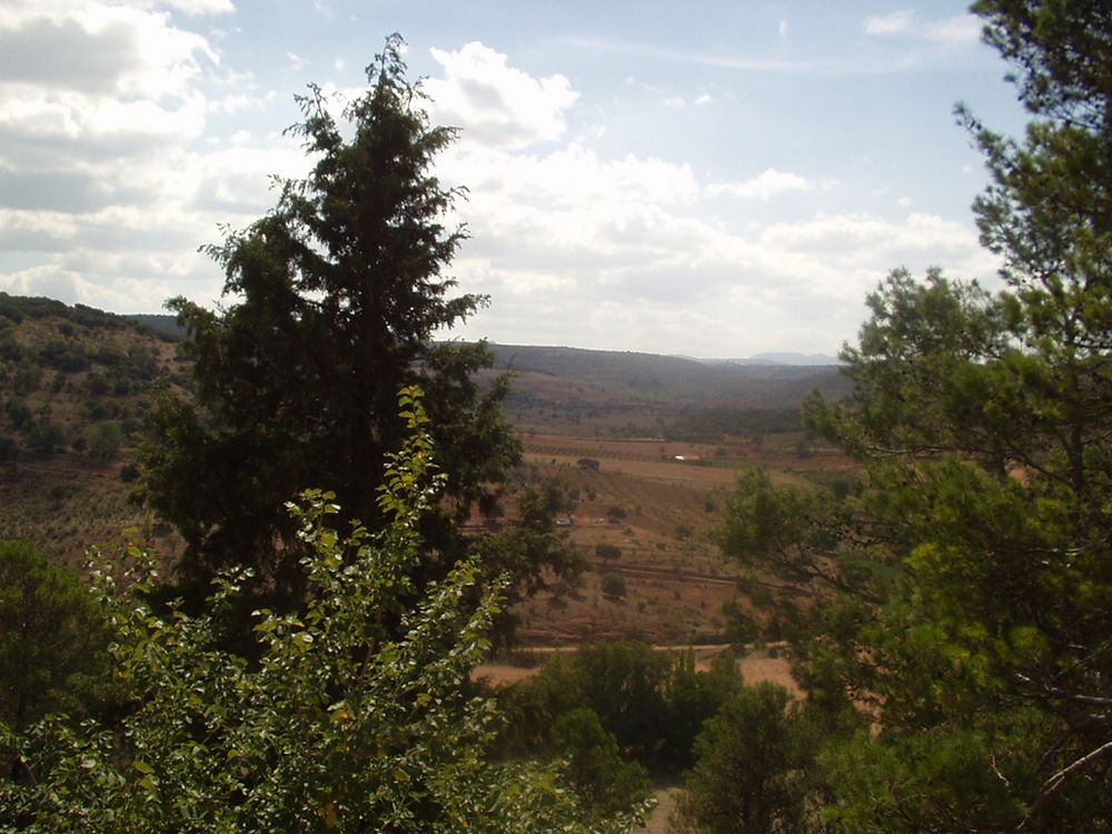 Foto de Cortes (Albacete), España