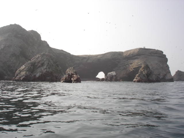Foto de Islas Ballestas, Perú