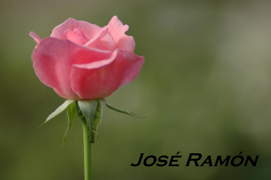 Foto de Jerez  de la Frontera (Cádiz), España