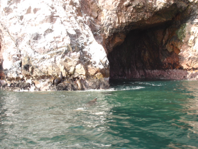 Foto de Islas Ballestas, Perú