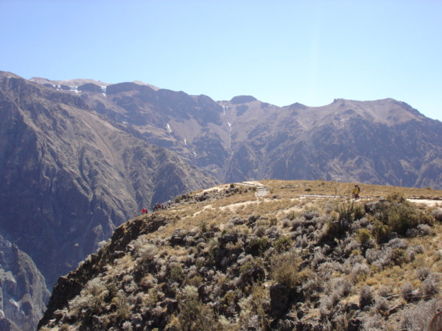 Foto de Cañón del Colca, Perú