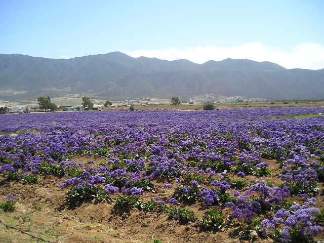 Foto de Ensenada, México
