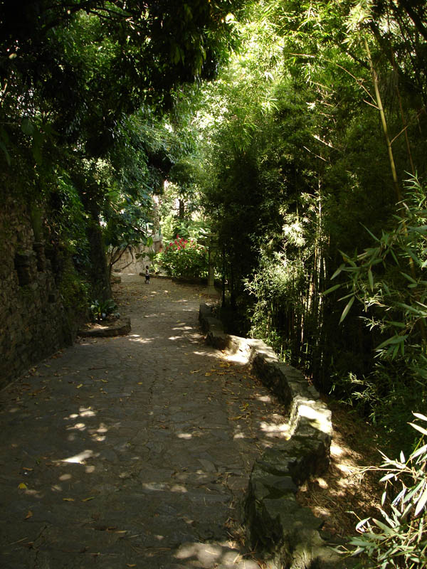 Foto de Caracas, Venezuela