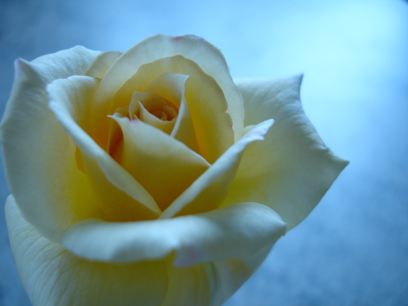 Foto de Caracas, Venezuela