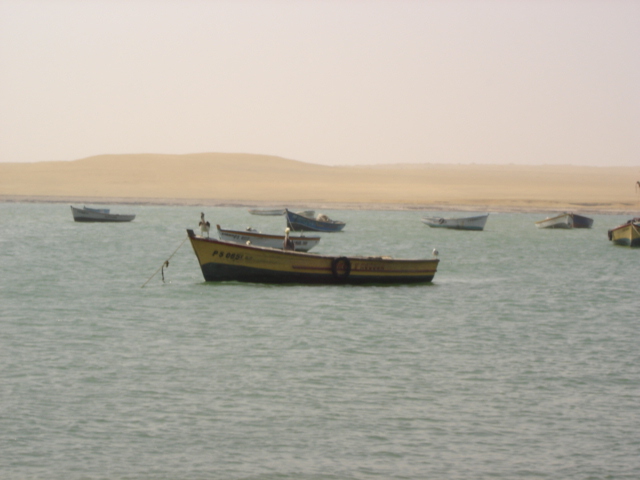 Foto de Paracas, Perú