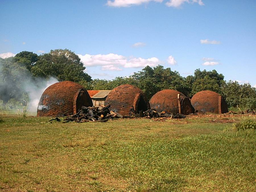 Foto de Campo Grande, Brasil
