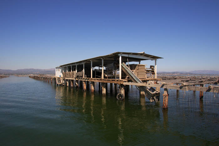 Foto de Deltebre (Tarragona), España