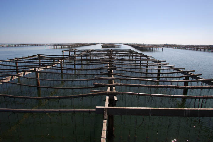 Foto de Deltebre (Tarragona), España