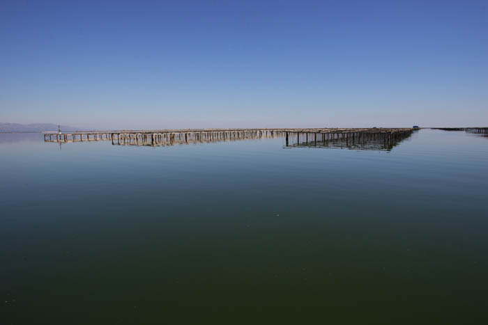Foto de Deltebre (Tarragona), España