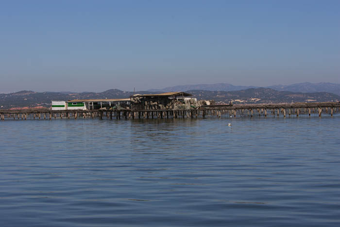 Foto de Deltebre (Tarragona), España