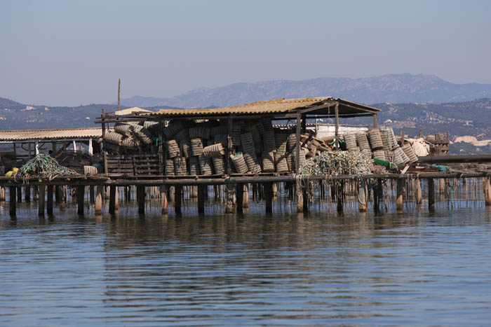 Foto de Deltebre (Tarragona), España