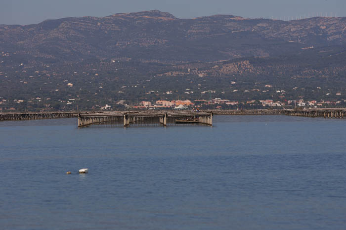 Foto de Deltebre (Tarragona), España