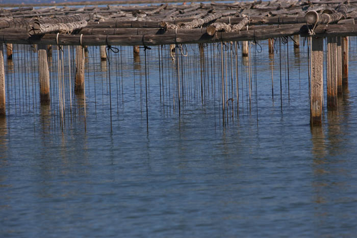 Foto de Deltebre (Tarragona), España