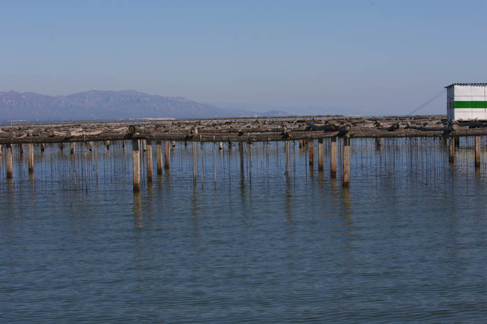 Foto de Deltebre (Tarragona), España