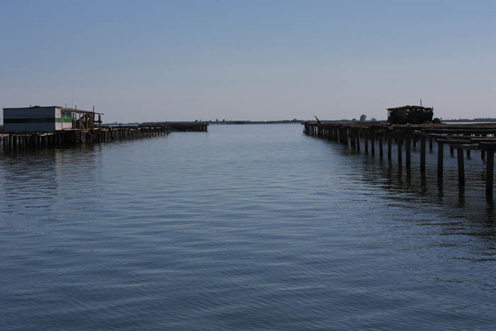 Foto de Deltebre (Tarragona), España