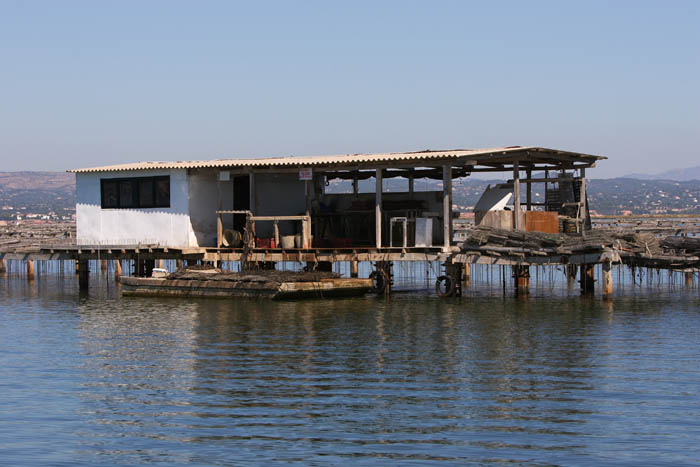 Foto de Deltebre (Tarragona), España