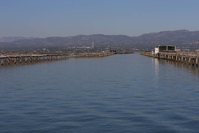 Foto de Deltebre (Tarragona), España