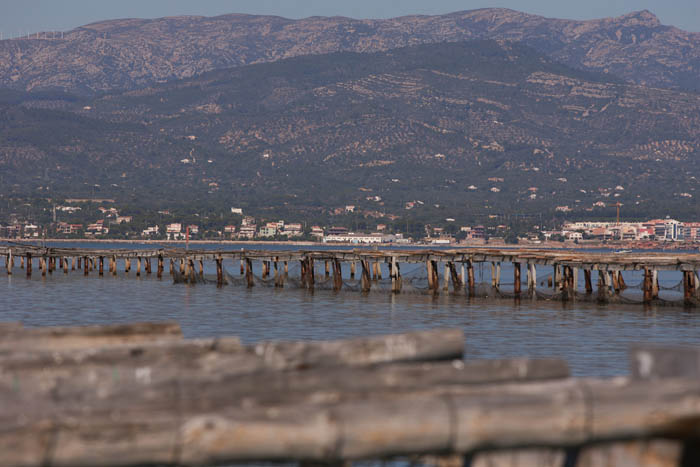 Foto de Deltebre (Tarragona), España