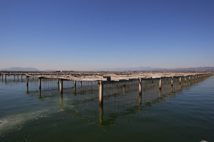 Foto de Deltebre (Tarragona), España