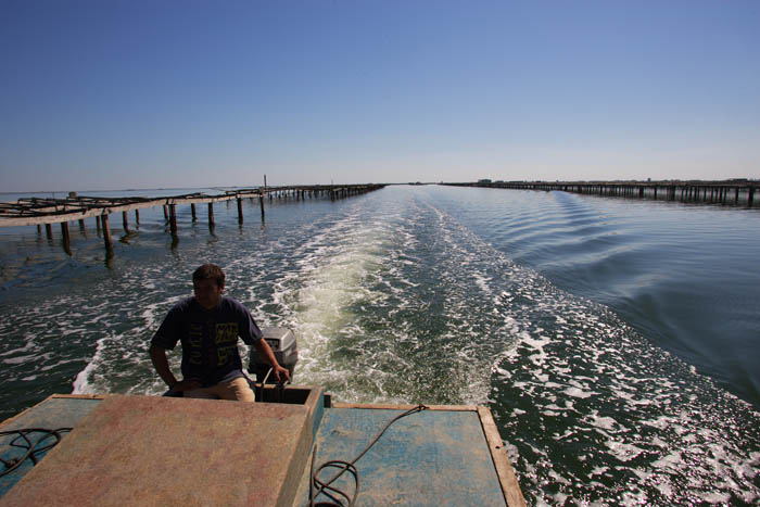 Foto de Deltebre (Tarragona), España
