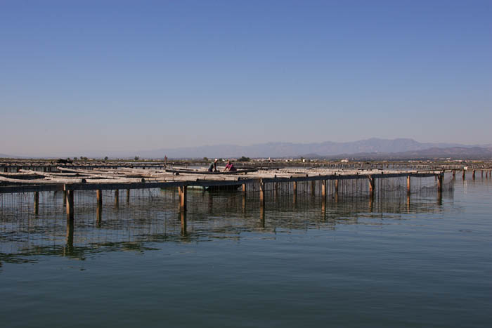 Foto de Deltebre (Tarragona), España
