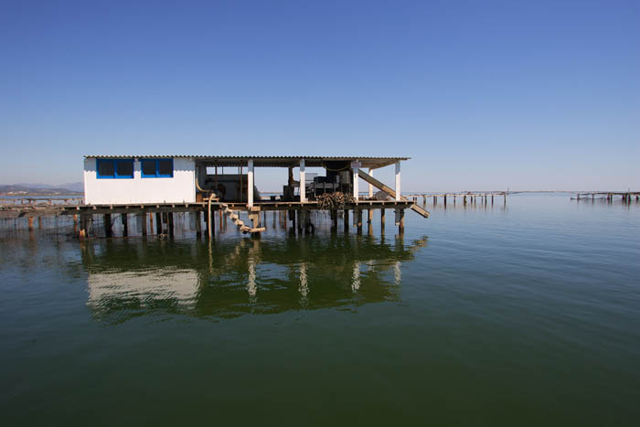 Foto de Deltebre (Tarragona), España