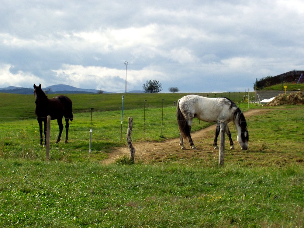 Foto de Guarnizo (Cantabria), España