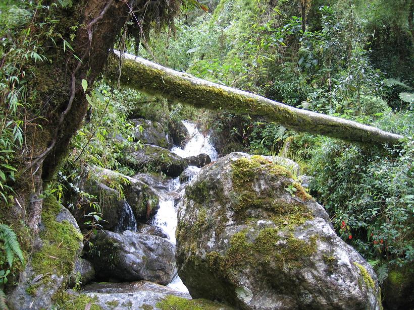 Foto de Mérida, Venezuela